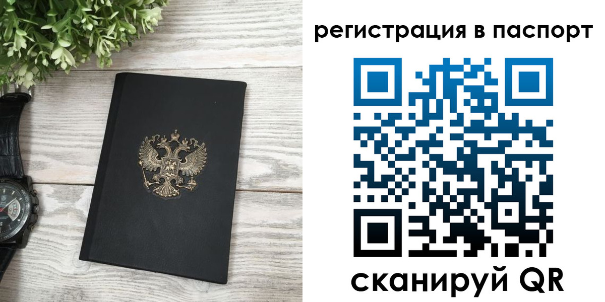 прописка в Светлограде